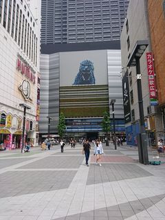 DSC_0102.jpg